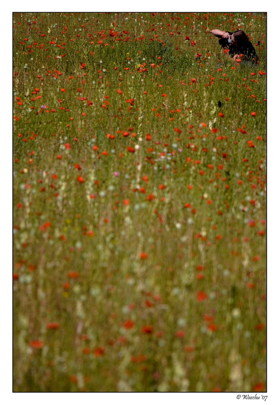 The Photographer.jpg